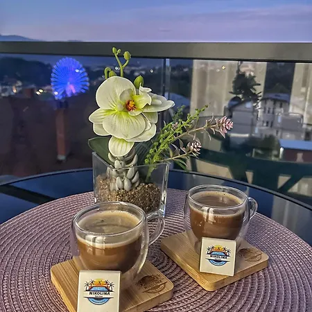 Nikolina Apartman Vrnjačka Banja